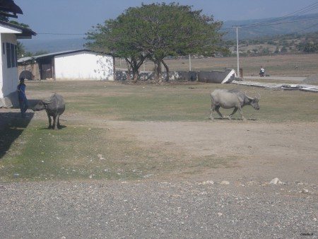 Recinto de escola em Vemasse; @2012